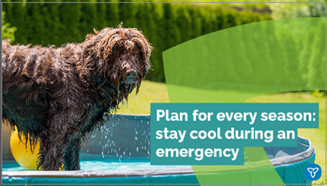 A brown dog in a children’s pool. The text reads: Plan for every season: stay cool during an emergency.