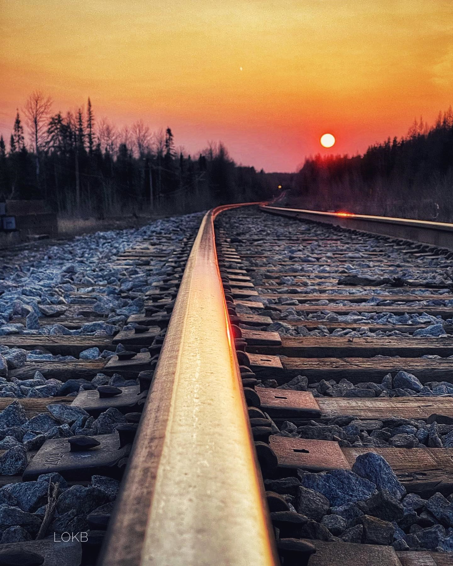 NEW! Community Safety and Well-Being Plan